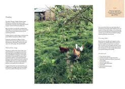 Australian Geographic Society & Culture-A Conscious Garden