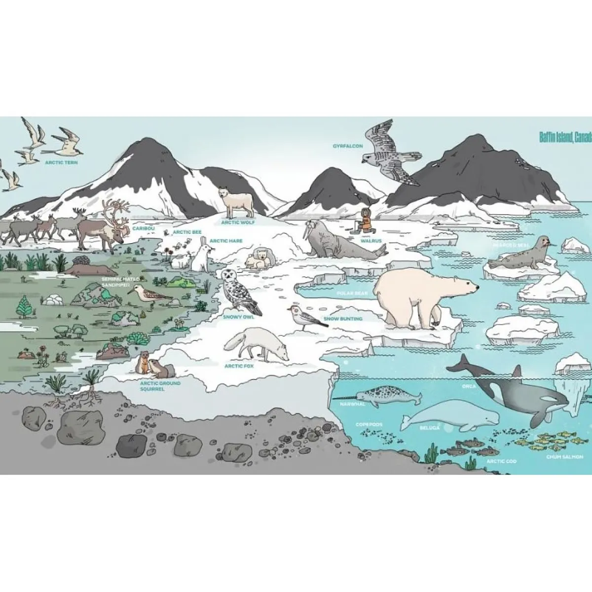 Kids Australian Geographic Animals & Nature|Age 8+-A World of Environments