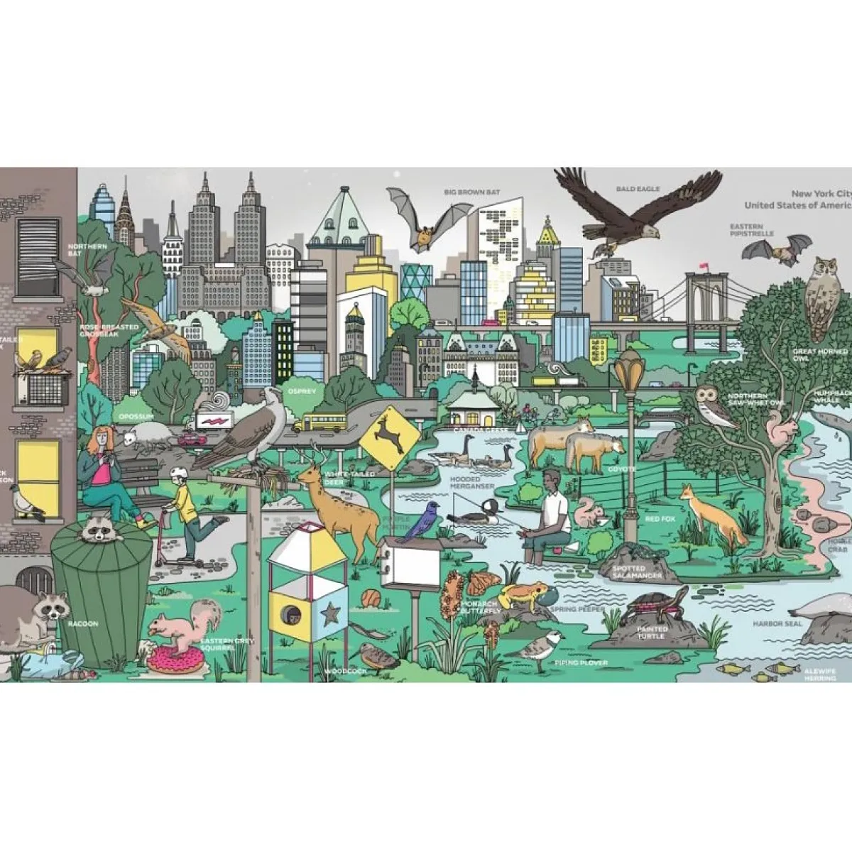 Kids Australian Geographic Animals & Nature|Age 8+-A World of Environments