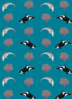 Australian Geographic Accessories|Greeting Cards-All Wrapped Up: