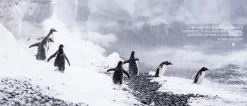 Australian Geographic Photographic & Illustrated-Antarctica