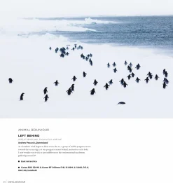 Australian Geographic Photographic & Illustrated-Australasian Nature Photographer of the Year Book 2017 (14th edition)
