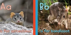 Kids Australian Geographic Animals & Nature|Age 0-8-Australian Animal ABC