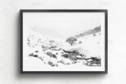 Australian Geographic Photography Prints-Australian Blizzard' by Charles Davis