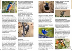 Australian Geographic Animals & Nature-: Australia's Birdwatching Megaspots