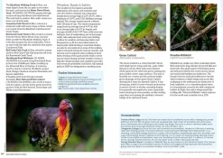 Australian Geographic Animals & Nature-: Australia's Birdwatching Megaspots