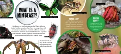 Kids Australian Geographic Animals & Nature|Age 8+-Discover: Minibeasts