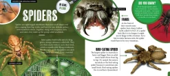 Kids Australian Geographic Animals & Nature|Age 8+-Discover: Minibeasts