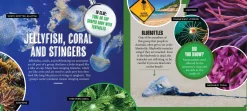 Kids Australian Geographic Animals & Nature|Age 8+-Discover: Minibeasts