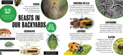Kids Australian Geographic Animals & Nature|Age 8+-Discover: Minibeasts