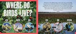 Kids Australian Geographic Animals & Nature|Age 8+-Discover: Aussie Birds