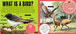 Kids Australian Geographic Animals & Nature|Age 8+-Discover: Aussie Birds