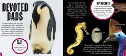 Kids Australian Geographic Science|Animals & Nature-Discover: Animal Families