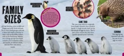 Kids Australian Geographic Science|Animals & Nature-Discover: Animal Families
