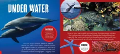 Kids Australian Geographic Science|Animals & Nature-Discover: Animals Homes