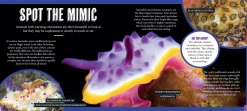 Kids Australian Geographic Animals & Nature|Age 8+-Discover: Animal Mimics