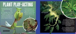 Kids Australian Geographic Animals & Nature|Age 8+-Discover: Animal Mimics