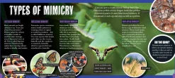 Kids Australian Geographic Animals & Nature|Age 8+-Discover: Animal Mimics