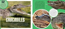 Kids Australian Geographic Science|Animals & Nature-Discover: Aussie Reptiles