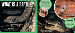 Kids Australian Geographic Science|Animals & Nature-Discover: Aussie Reptiles