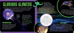 Kids Australian Geographic Science|Animals & Nature-Discover: Glowing Animals