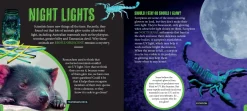 Kids Australian Geographic Science|Animals & Nature-Discover: Glowing Animals