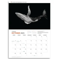 Australian Geographic Calendars & Diaries|Calendars & Diaries-Nature Photographer of the Year Calendar 2025