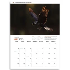 Australian Geographic Calendars & Diaries|Calendars & Diaries-Nature Photographer of the Year Calendar 2025