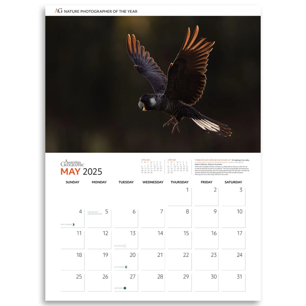 Australian Geographic Calendars & Diaries|Calendars & Diaries-Nature Photographer of the Year Calendar 2025