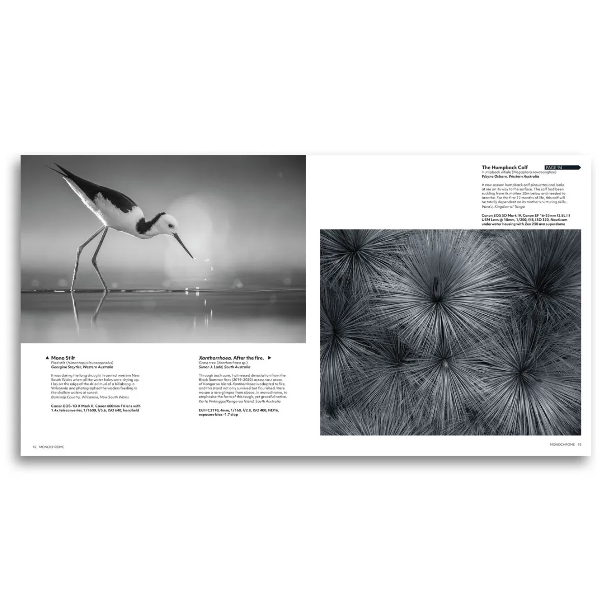 Australian Geographic Photographic & Illustrated-Nature Photographer of the Year Book 2024