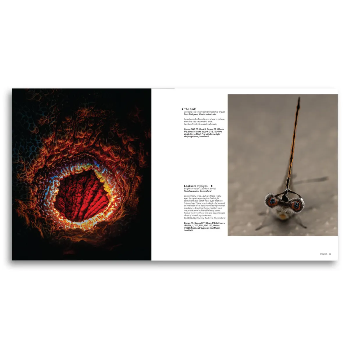 Australian Geographic Photographic & Illustrated-Nature Photographer of the Year Book 2024