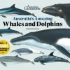 Kids Australian Geographic Animals & Nature|Age 8+-Australia's Amazing Whales and Dolphins