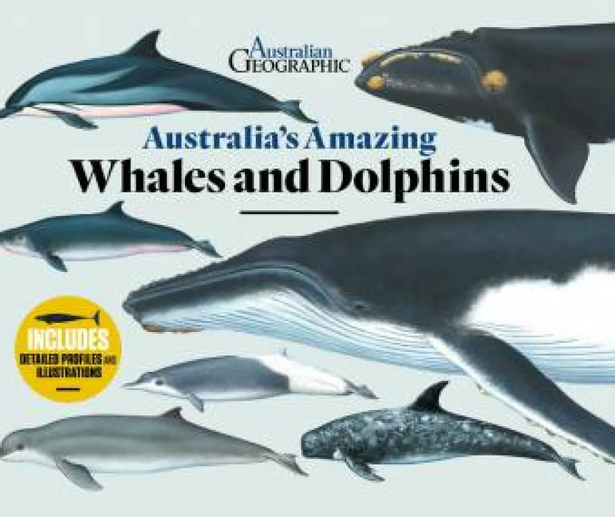 Kids Australian Geographic Animals & Nature|Age 8+-Australia's Amazing Whales and Dolphins