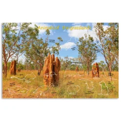 Kids Australian Geographic Activity Books|Animals & Nature-Australia's Natural Habitats Animal Sticker Book