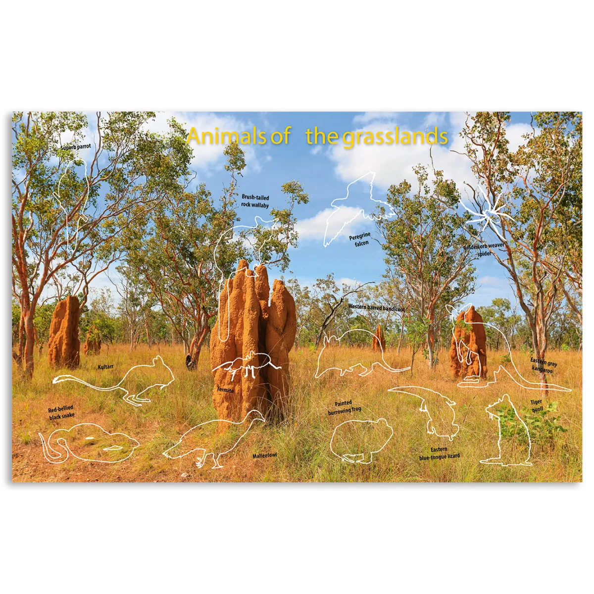 Kids Australian Geographic Activity Books|Animals & Nature-Australia's Natural Habitats Animal Sticker Book
