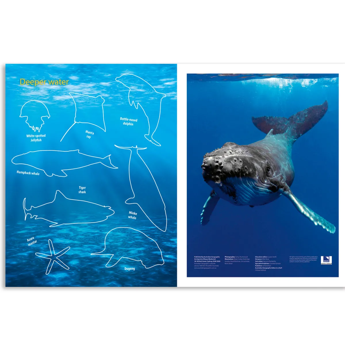 Kids Australian Geographic Activity Books|Animals & Nature-Australia's Natural Habitats Animal Sticker Book