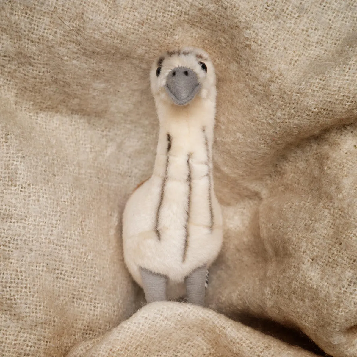 Australian Geographic Plush & Soft Toys|0-24 Months-Baby Handfuls Emu Soft Toy