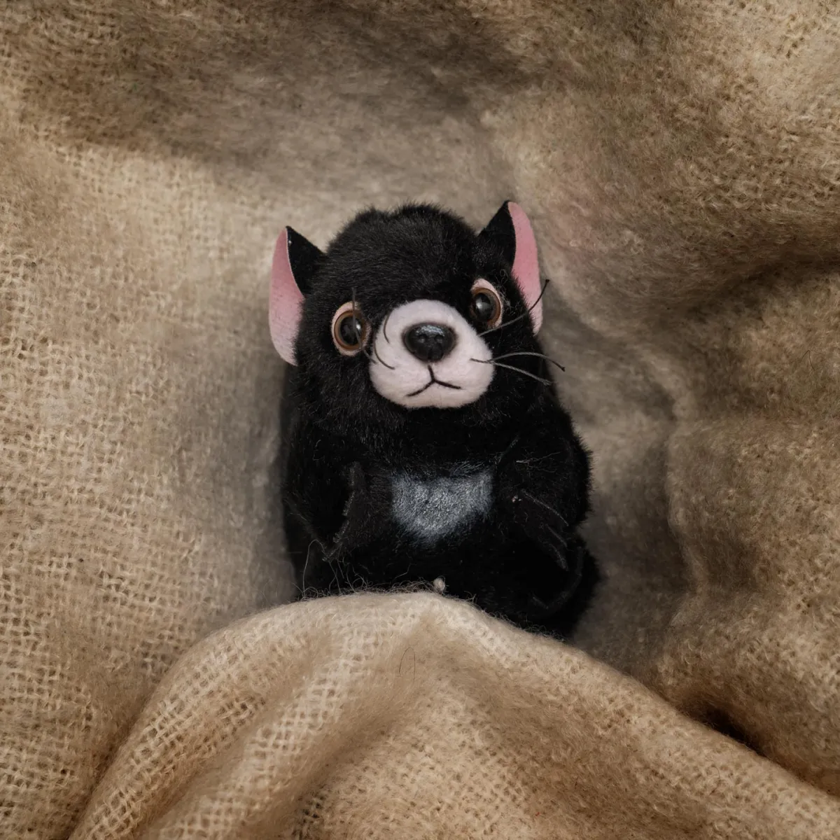Australian Geographic Plush & Soft Toys|0-24 Months-Baby Handfuls Tassie Devil Soft Toy