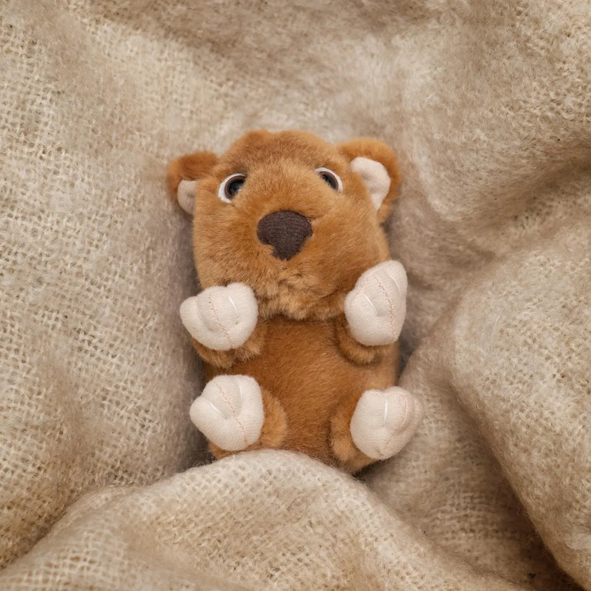 Australian Geographic Plush & Soft Toys|0-24 Months-Baby Handfuls Wombat Soft Toy
