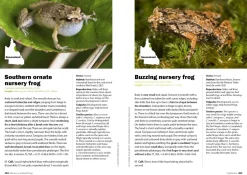 Australian Geographic Animals & Nature-Complete Guide To Australian Frogs