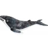 Australian Geographic Plush & Soft Toys|0-24 Months-Cuddlekins humpback whale