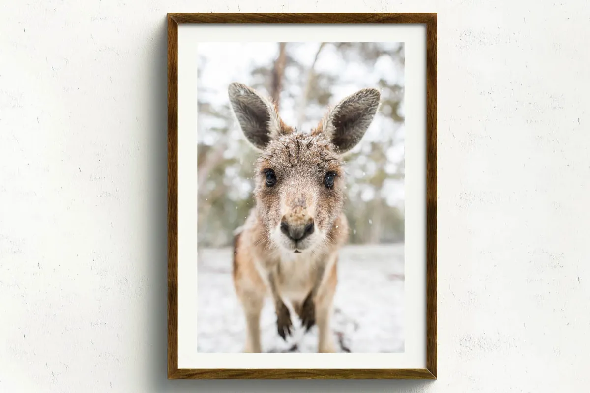 Australian Geographic Photography Prints-Eric' by Charles Davis