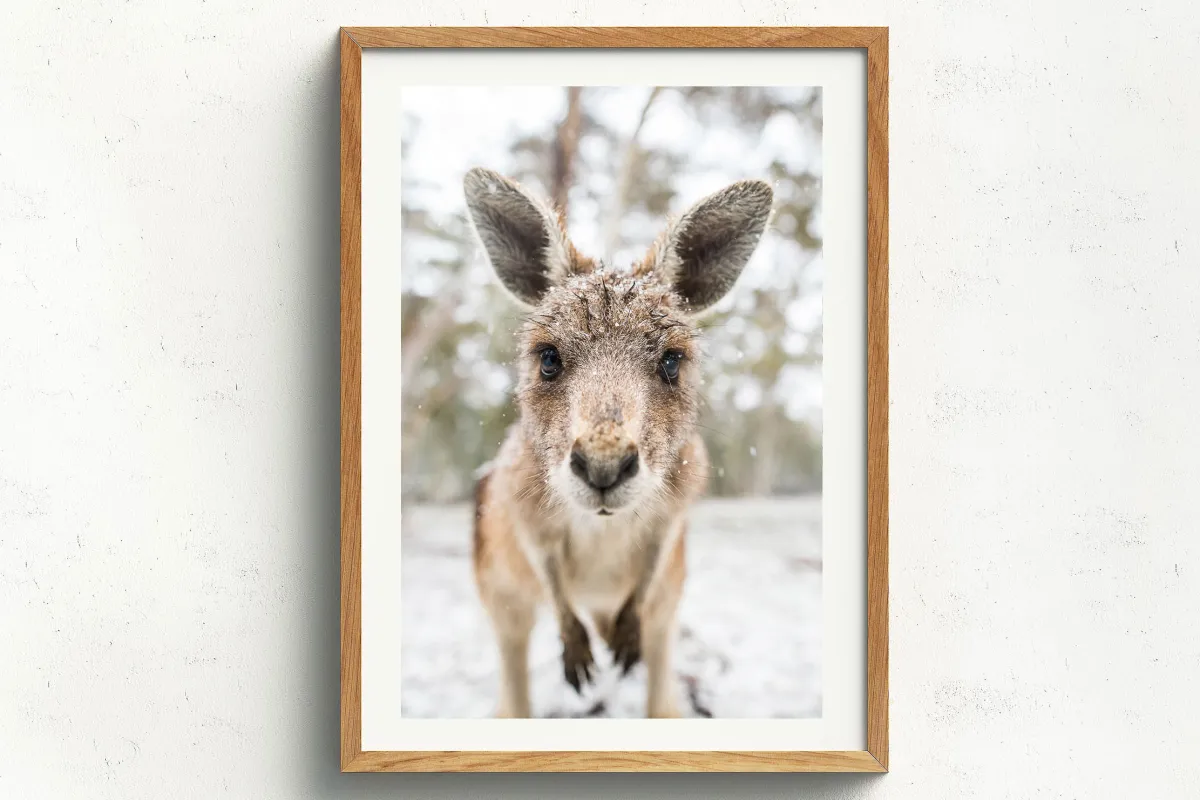 Australian Geographic Photography Prints-Eric' by Charles Davis