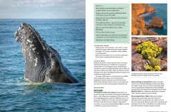 Australian Geographic Travel|Photographic & Illustrated-Escape To Nature: Visit 75 Of Australia's Best National Parks