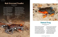 Australian Geographic Animals & Nature-Extraordinary & Endangered