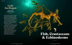 Australian Geographic Animals & Nature-Extraordinary & Endangered