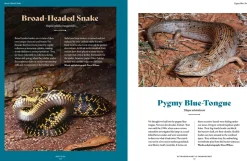 Australian Geographic Animals & Nature-Extraordinary & Endangered