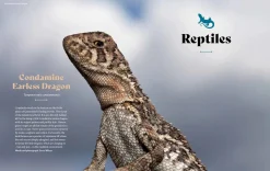 Australian Geographic Animals & Nature-Extraordinary & Endangered