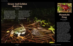 Australian Geographic Animals & Nature-Extraordinary & Endangered