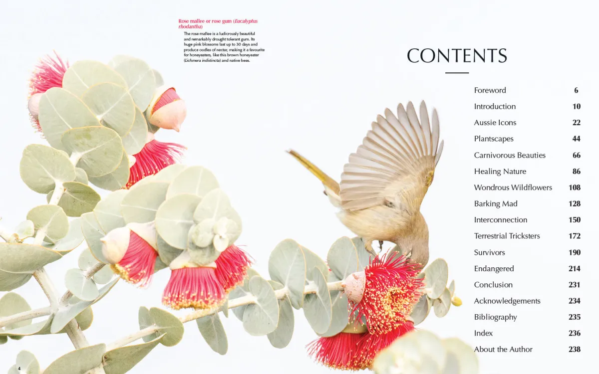 Australian Geographic Society & Culture-For the Love of Flora